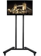 TV Screen with Stand -50"