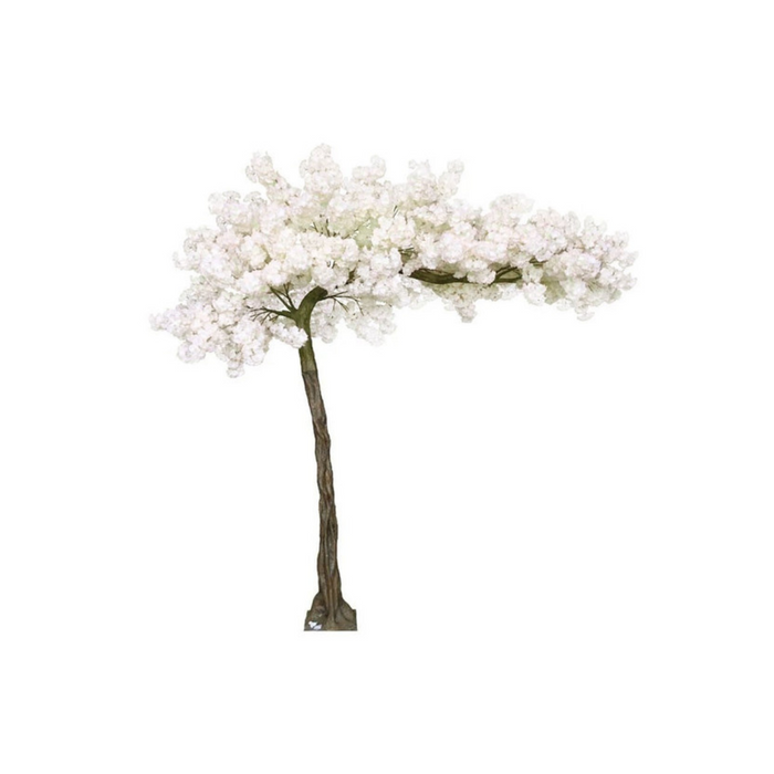 Arched cherry blossom tree - 3.2m