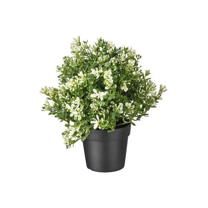 Plant Pot - Artificial Buxus