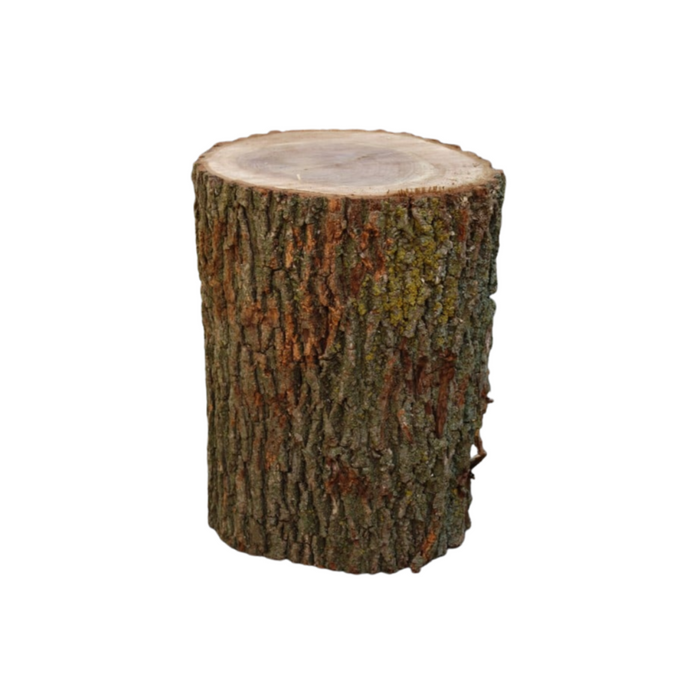 Log Stumps