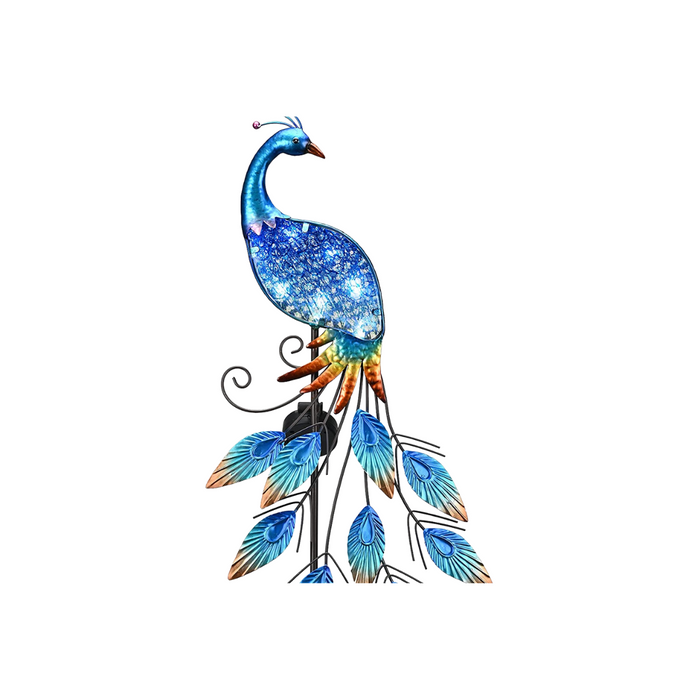 Peacock - Small