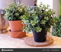 Plant Pot - Artificial Buxus